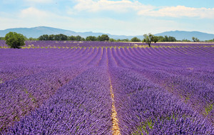 La boucle de la Lavande
