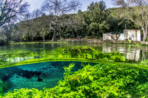 A la source de la Buèges