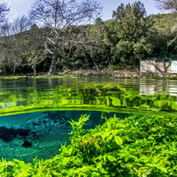A la source de la Buèges